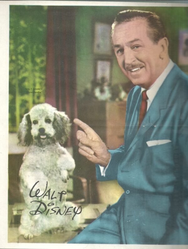 Poster Tv Guia N° WALT DISNEY -DISNEYLANDIA
