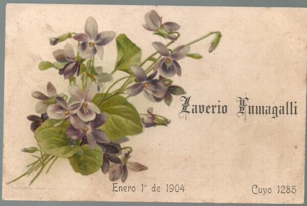 POSTAL PUBLICITARIA ZAVERIO FUMAGALLI 1904