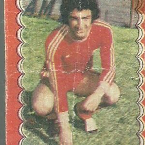 FIGURITA FUTBOL 1977 ARROYO N°12 INDEPENDIENTE