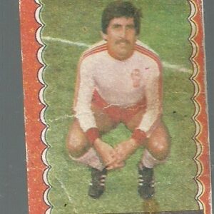 FIGURITA FUTBOL 1977 LEONE N°13 HURACAN