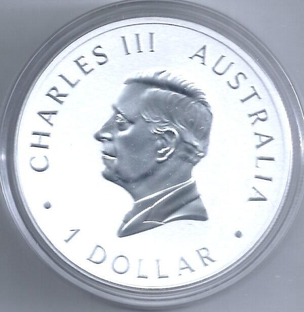AUSTRALIA 1 DOLAR ONZA PLATA 999 KOOKABURRA 2025 - Imagen 2