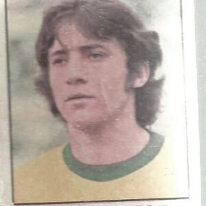 FIGURITA MUNDIAL 1974 LEIVINHA BRASIL