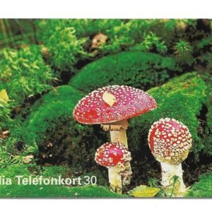 TARJETA TELEFONICA SUECIA 30 UNIDADES FLORA 1995
