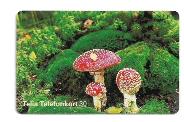 TARJETA TELEFONICA SUECIA 30 UNIDADES FLORA 1995