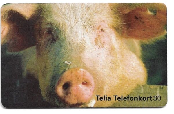 TARJETA TELEFONICA SUECIA 30 UNIDADES ANIMAL 1995
