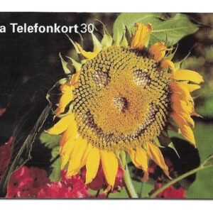 TARJETA TELEFONICA SUECIA 30 UNIDADES PAISAJE 1996