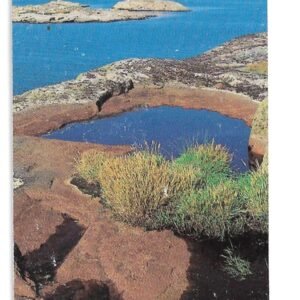 TARJETA TELEFONICA SUECIA 30 UNIDADES PAISAJE 1996