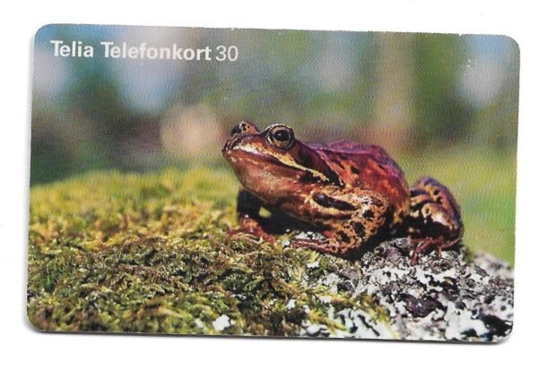 TARJETA TELEFONICA SUECIA 30 UNIDADES FAUNA 1999
