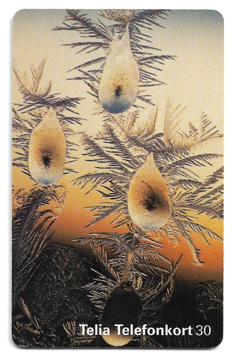 TARJETA TELEFONICA SUECIA 30 UNIDADES FLORA 1999