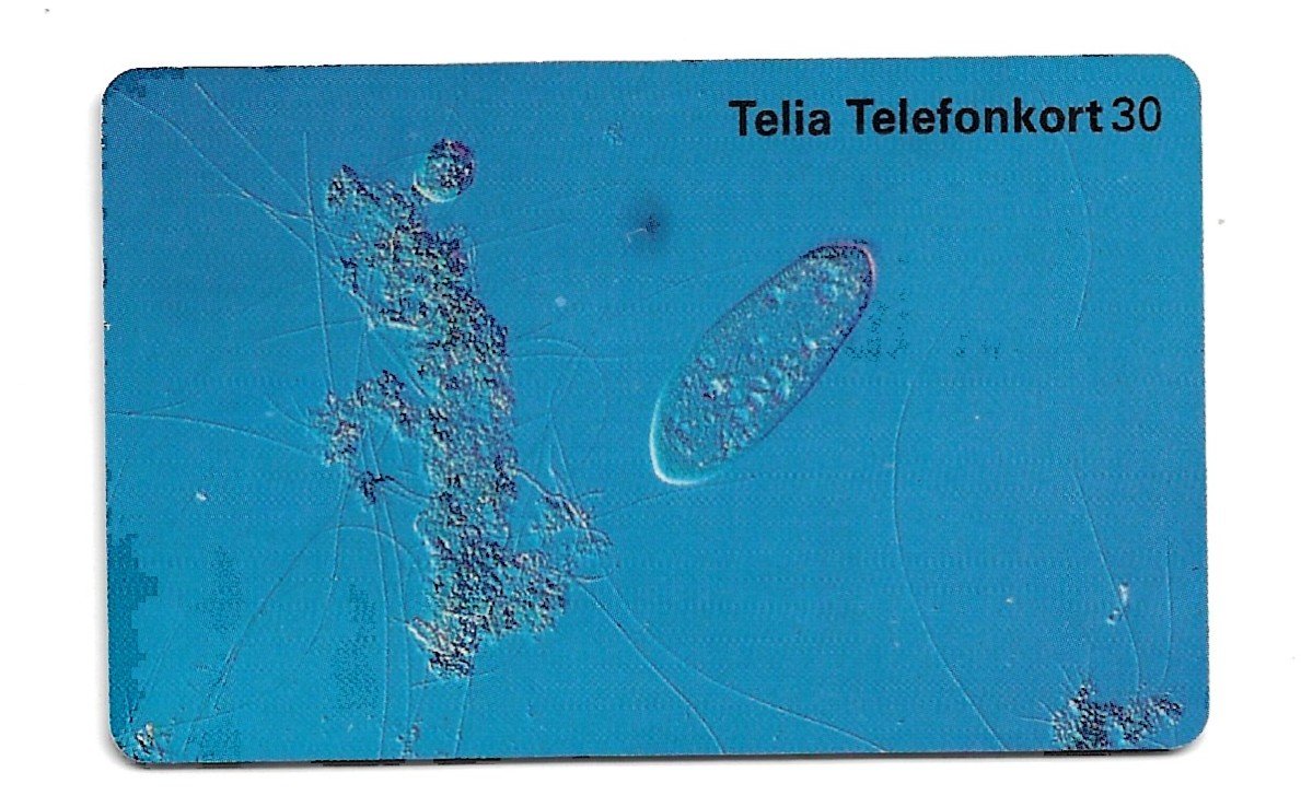 TARJETA TELEFONICA SUECIA 30 UNIDADES FLORA 1997