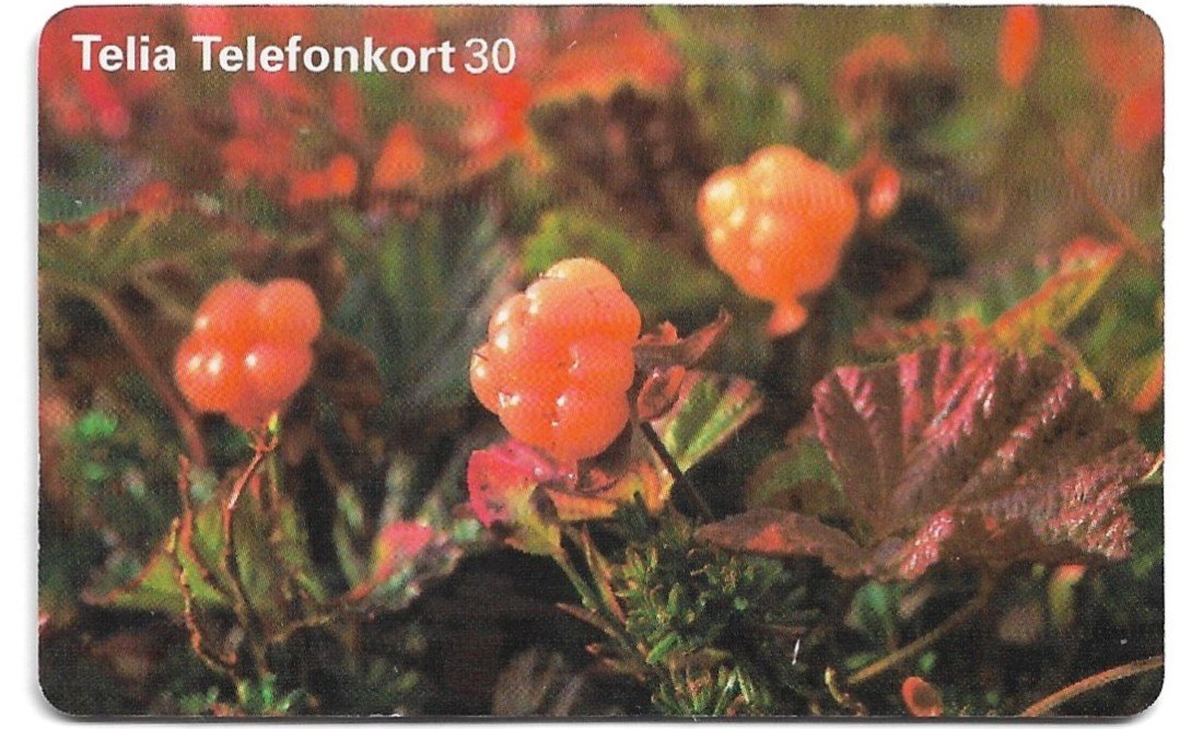 TARJETA TELEFONICA SUECIA 30 UNIDADES FLORA 1998