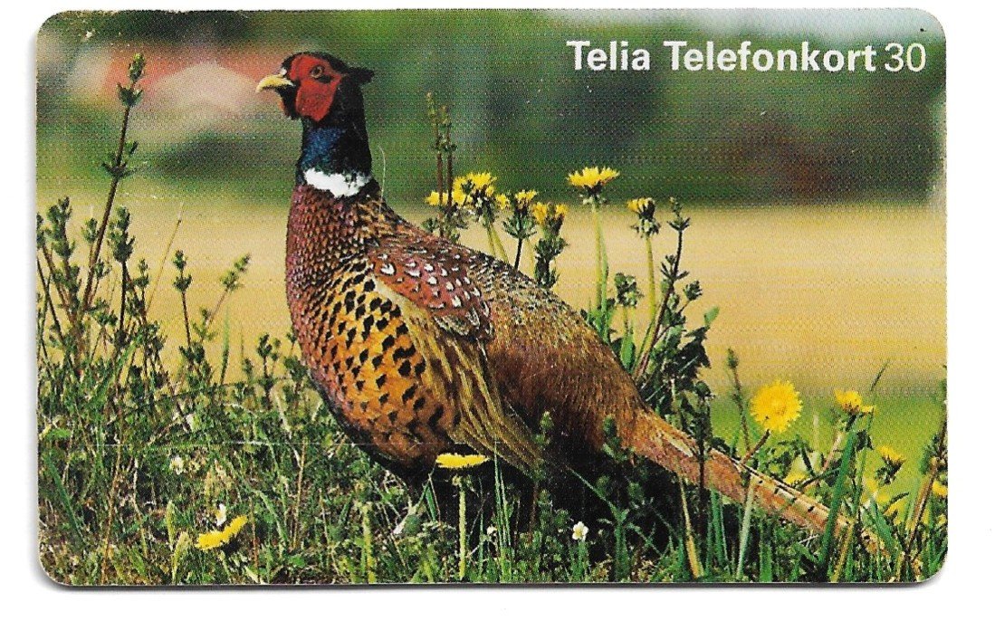TARJETA TELEFONICA SUECIA 30 UNIDADES FAUNA 1999