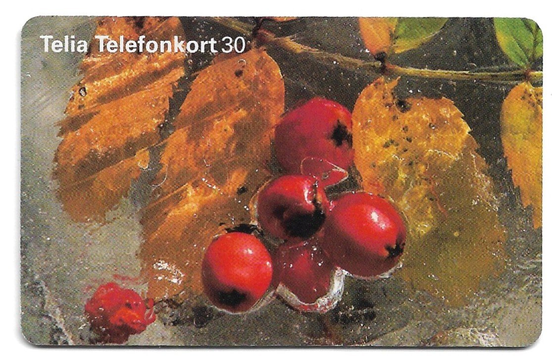 TARJETA TELEFONICA SUECIA 30 UNIDADES FLORA 1999