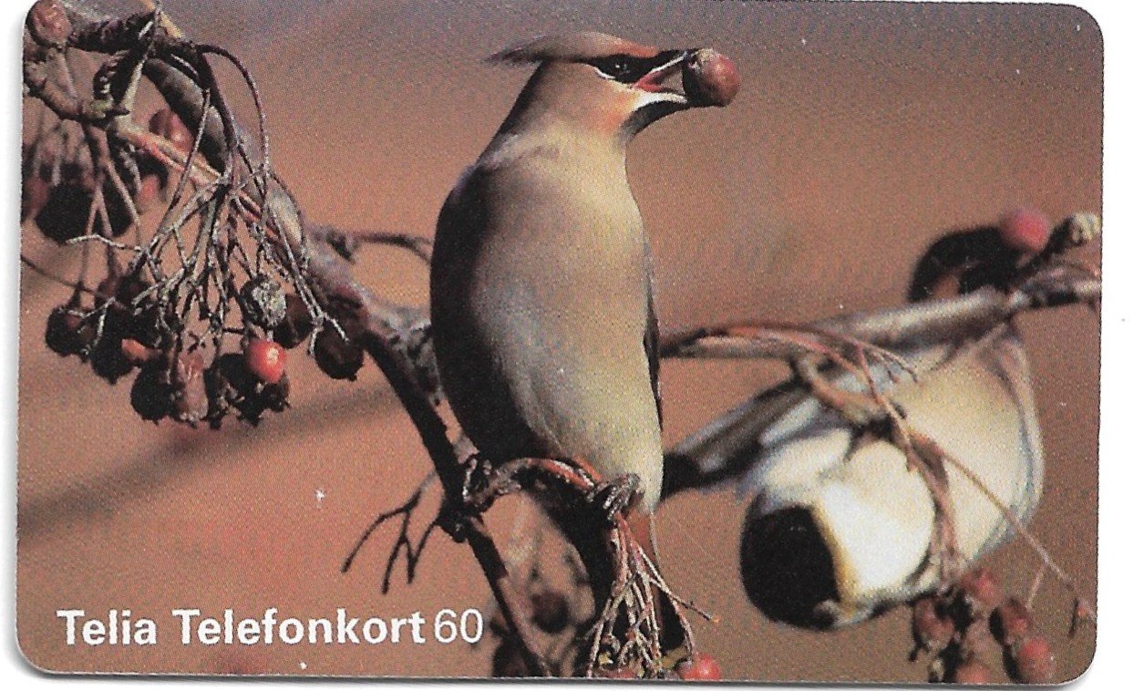 TARJETA TELEFONICA SUECIA 60 UNIDADES FAUNA 1996