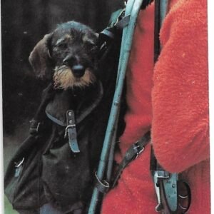 TARJETA TELEFONICA SUECIA 60 UNIDADES FAUNA 1996