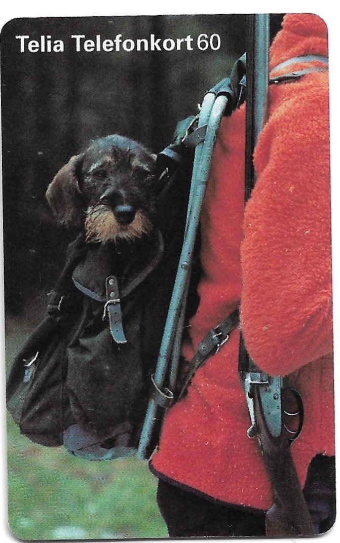 TARJETA TELEFONICA SUECIA 60 UNIDADES FAUNA 1996