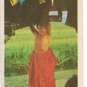 FIGURITA DE SUPERMAN 1977 N°60