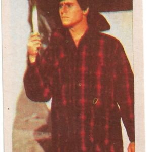 FIGURITA DE SUPERMAN 1977 N°76