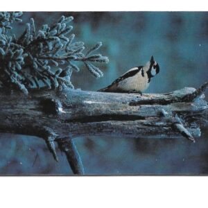 TARJETA TELEFONICA SUECIA 30 UNIDADES ANIMALES 1996