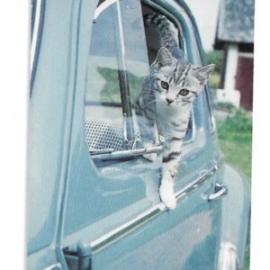 TARJETA TELEFONICA SUECIA 30 UNIDADES ANIMALES 1997