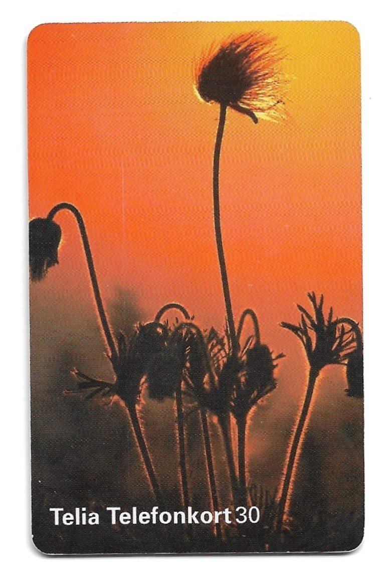 TARJETA TELEFONICA SUECIA 30 UNIDADES FLORA 1998