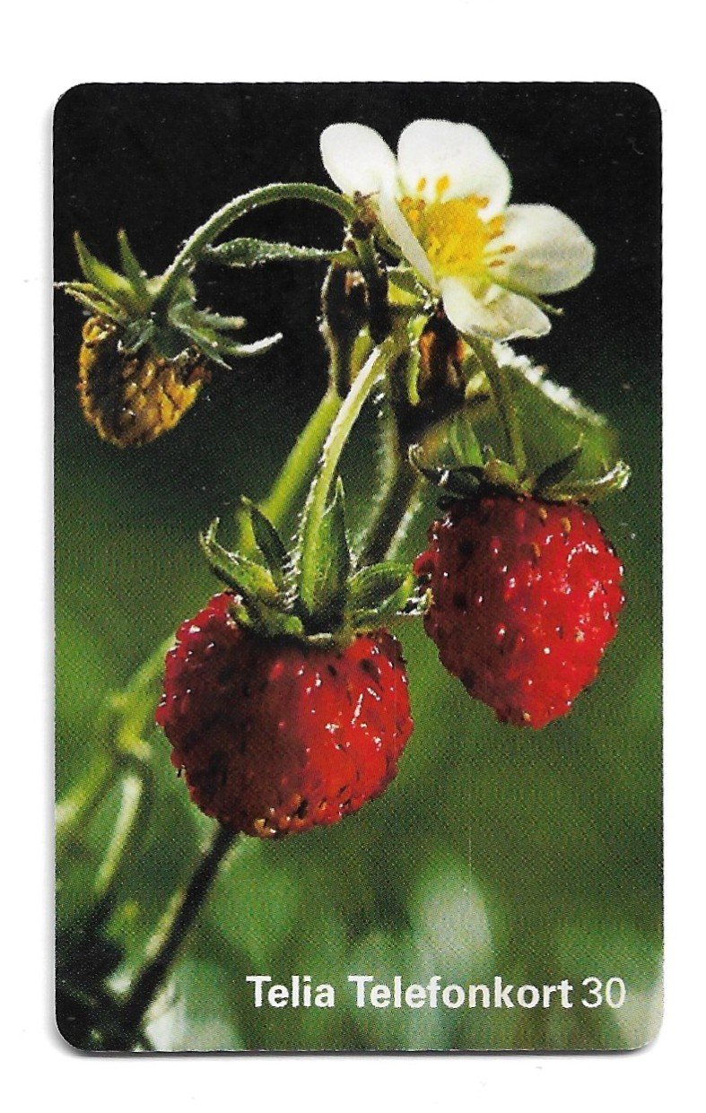 TARJETA TELEFONICA SUECIA 30 UNIDADES FLORA 1998