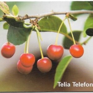 TARJETA TELEFONICA SUECIA 30 UNIDADES FLORA 1998