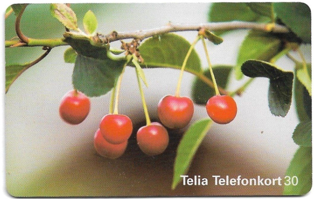 TARJETA TELEFONICA SUECIA 30 UNIDADES FLORA 1998