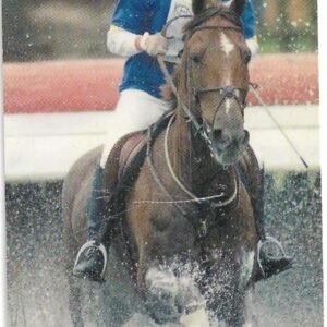 TARJETA TELEFONICA SUECIA 30 UNIDADES JINETE DE CABALLO 2002