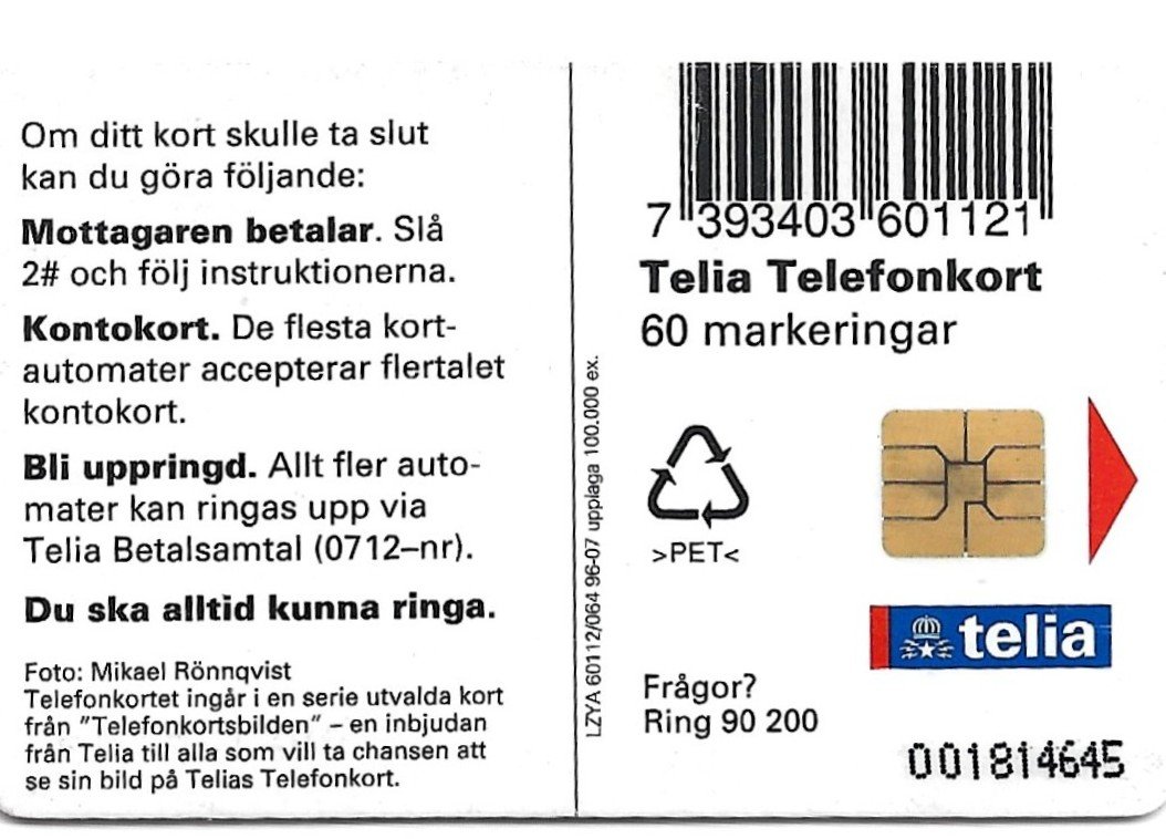 TARJETA TELEFONICA SUECIA 60 UNIDADES ARTE 1996