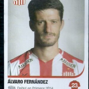 FIGURITA DE FUTBOL ARGENTINO 2018-19 FERNANDEZ N°328
