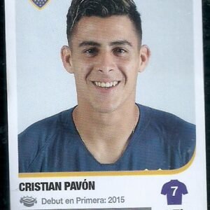 FIGURITA DE FUTBOL ARGENTINO 2018-19 PAVON N°90