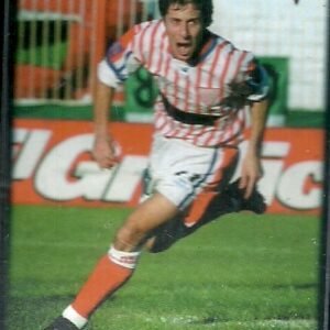 FIGURITA DE FUTBOL ARGENTINO 2001 N°241 LOS ANDES