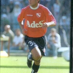 FIGURITA DE FUTBOL ARGENTINO 2001 N°206 INDEPENDIENTE