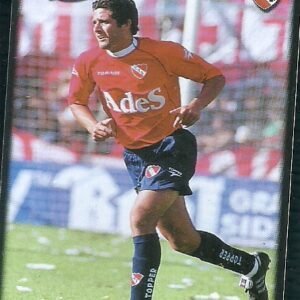 FIGURITA DE FUTBOL ARGENTINO 2001 N°205 INDEPENDIENTE