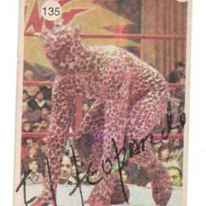 FIGURITA TITANES EN EL RING 1977 N°135