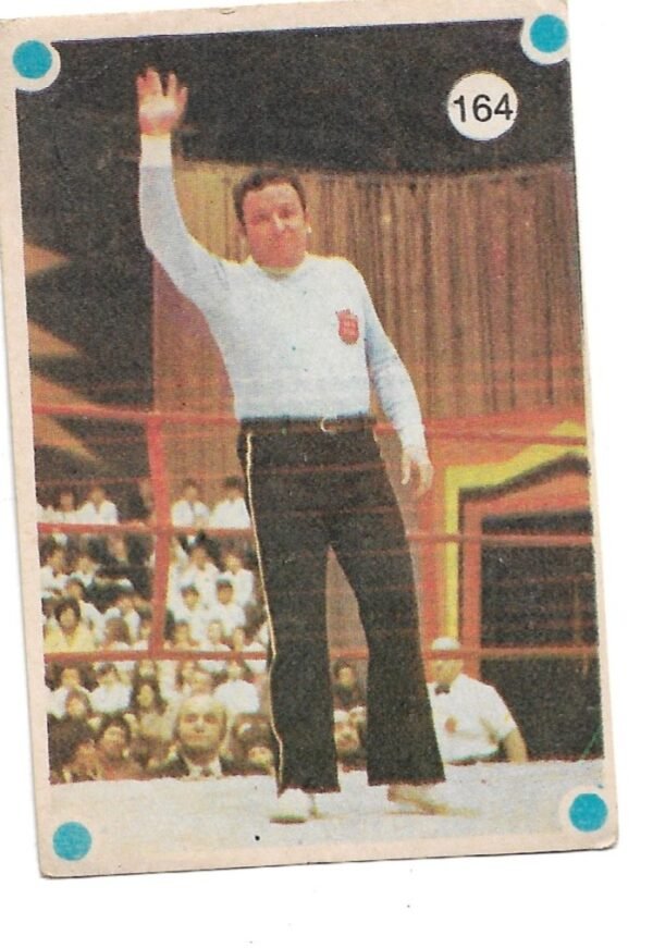 FIGURITA TITANES EN EL RING N°164