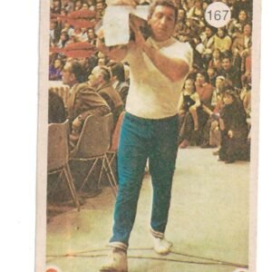 FIGURITA TITANES EN EL RING N°167