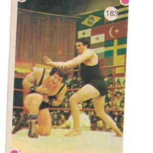 FIGURITA TITANES EN EL RING 1977 N°183