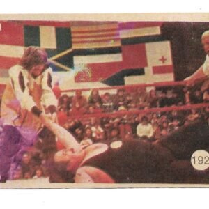FIGURITA TITANES EN EL RING 1977 N°192