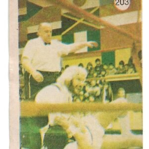 FIGURITA TITANES EN EL RING N°203