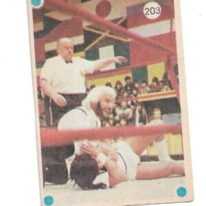 FIGURITA TITANES EN EL RING N°203