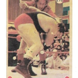 FIGURITA TITANES EN EL RING N°210