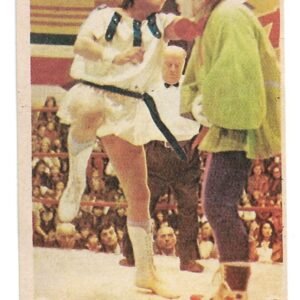 FIGURITA TITANES EN EL RING N°212