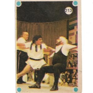 FIGURITA TITANES EN EL RING N°213