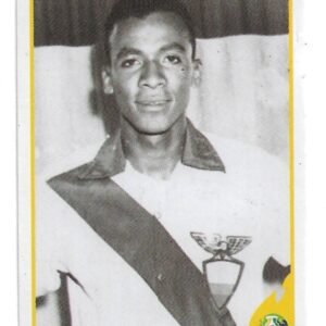 FIGURITA DE CONMEBOL COPA AMERICA BRASIL 2019 N°357