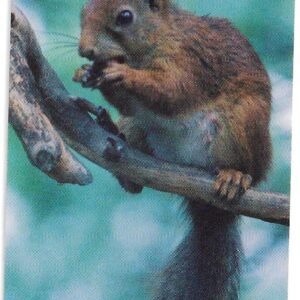 TARJETA TELEFONICA SUECIA 120 UNIDADES ANIMALES 1995