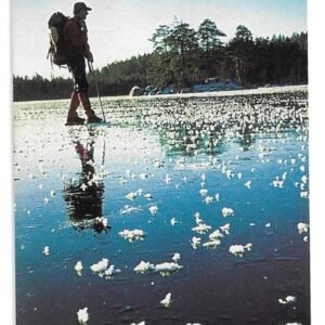 TARJETA TELEFONICA SUECIA 120 UNIDADES PAISAJE 1995