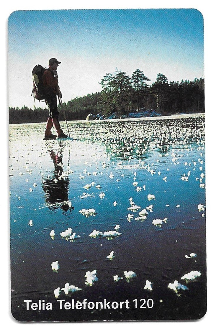 TARJETA TELEFONICA SUECIA 120 UNIDADES PAISAJE 1995