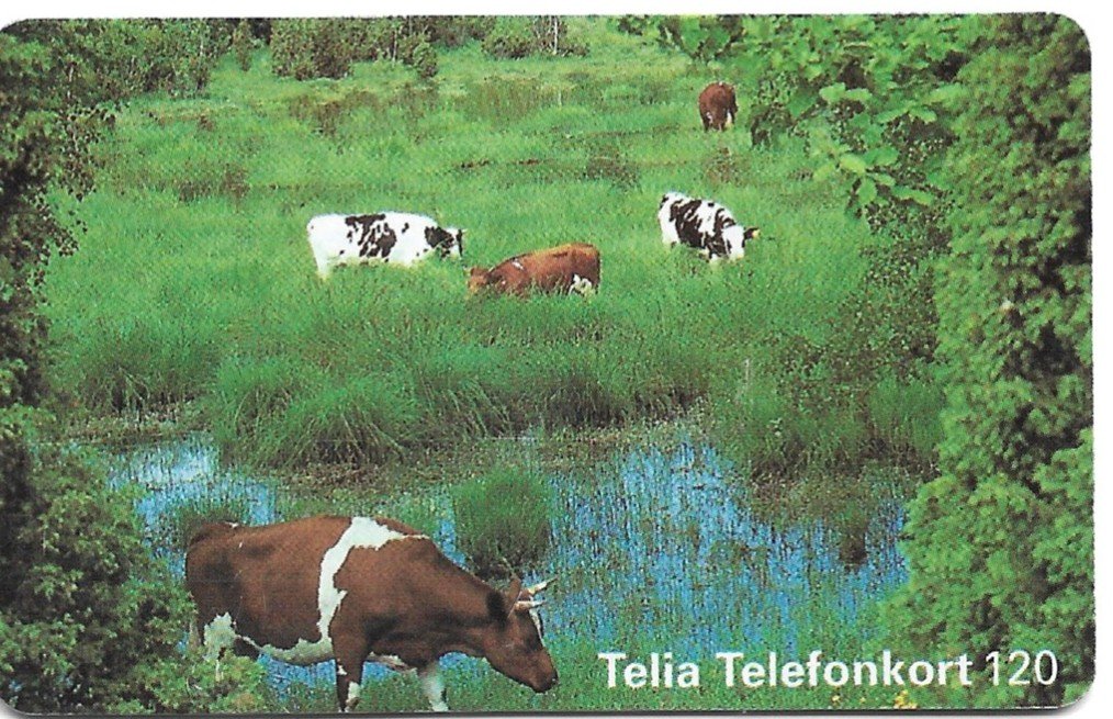 TARJETA TELEFONICA SUECIA 120 UNIDADES ANIMALES 1996